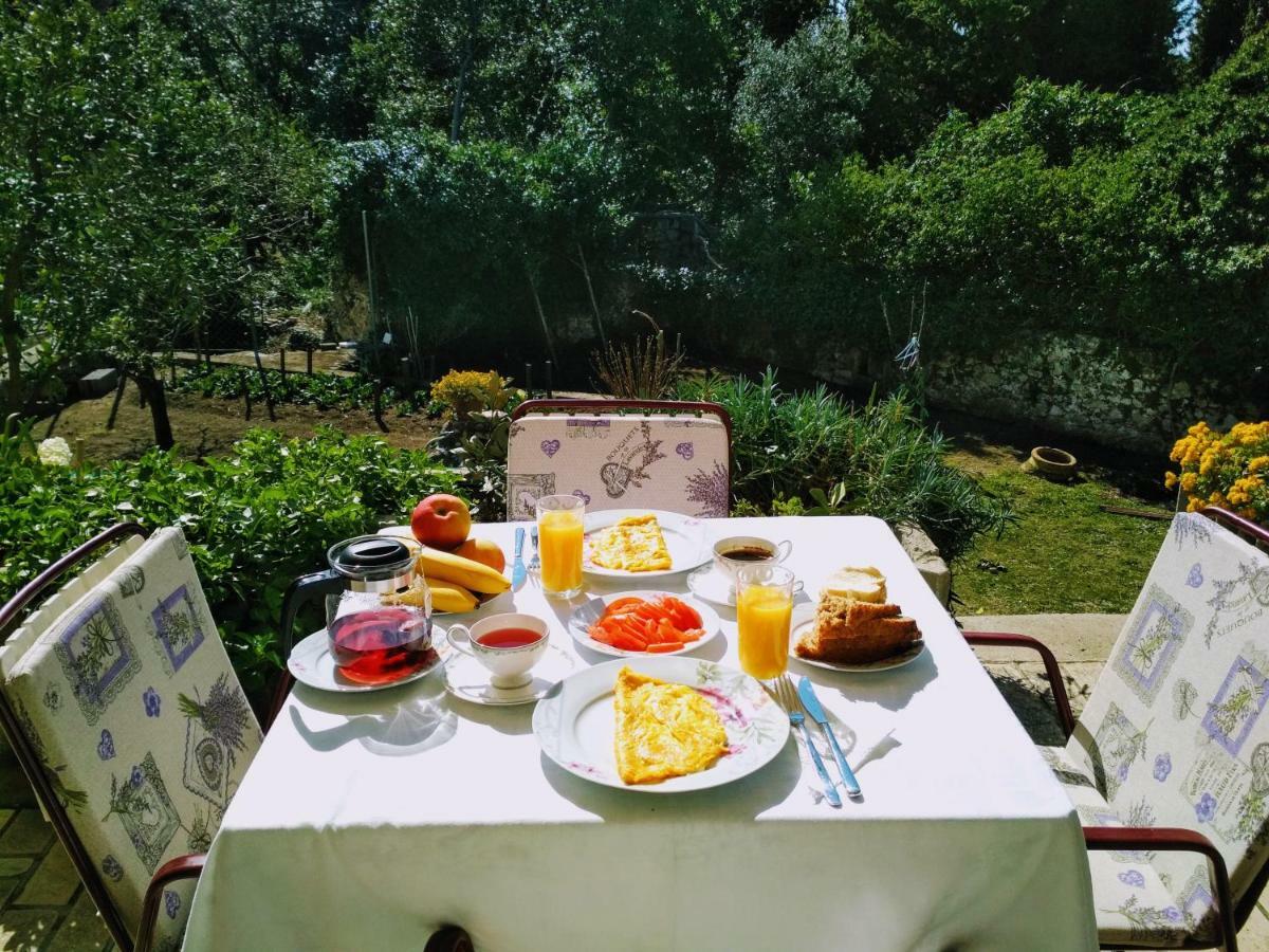 Bed and Breakfast Antun Mozara Family House Слано Екстер'єр фото